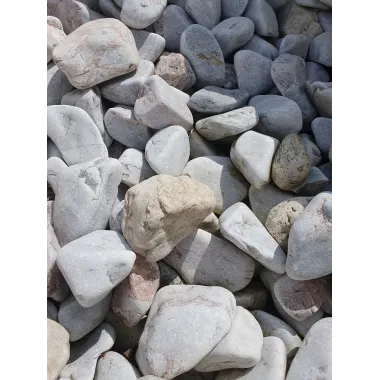 OTOCZAK LAZUROWY GRUBY