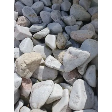 OTOCZAK LAZUROWY GRUBY